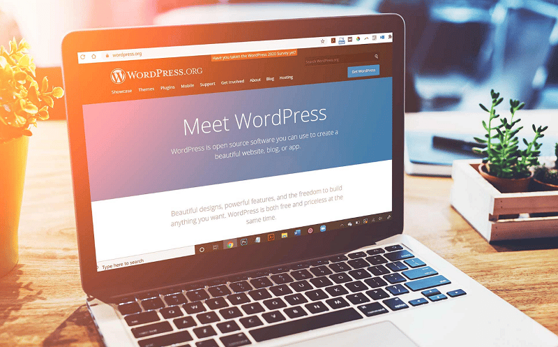 Hướng dẫn chi tiết thiết kế website wordpress đẹp, chất lượng 2022